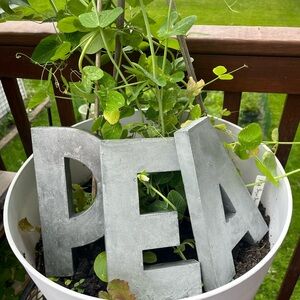 Anthropologie Metal Zinc Industrial Letter “P” 8" x4.5"x1"  mid-century modern